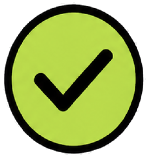 Check-in success icon